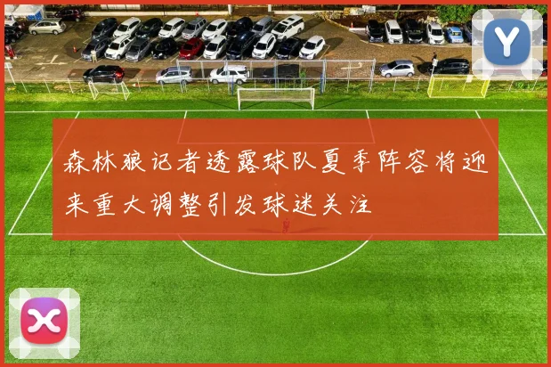 森林狼记者透露球队夏季阵容将迎来重大调整引发球迷关注